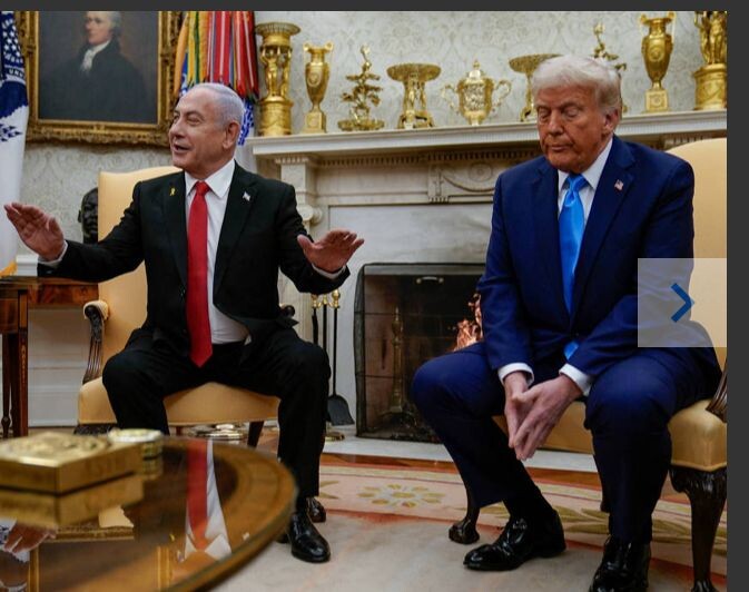 trumpado.jpeg