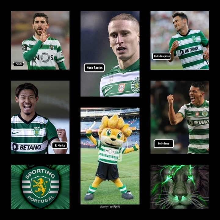 5escolhas c csapia.jpg