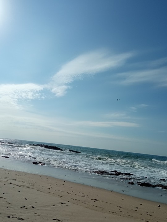 IMG_20201113_120634 (2).jpg