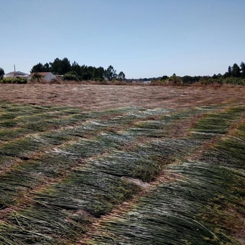 35348053_1890412761266237_4659568495686582272_n.jp 35348053_1890412761266237_4659568495686582272_n.jp