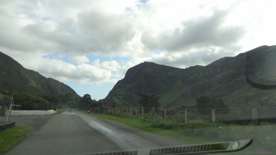 DSC07131.JPG DSC07131.JPG