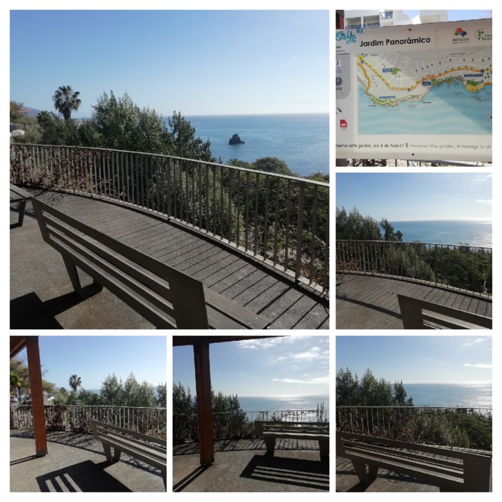 IMG_20210131_120239-COLLAGE.jpg IMG_20210131_120239-COLLAGE.jpg