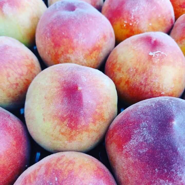 442480350_839728954851183_6472908994495831551_n.jp