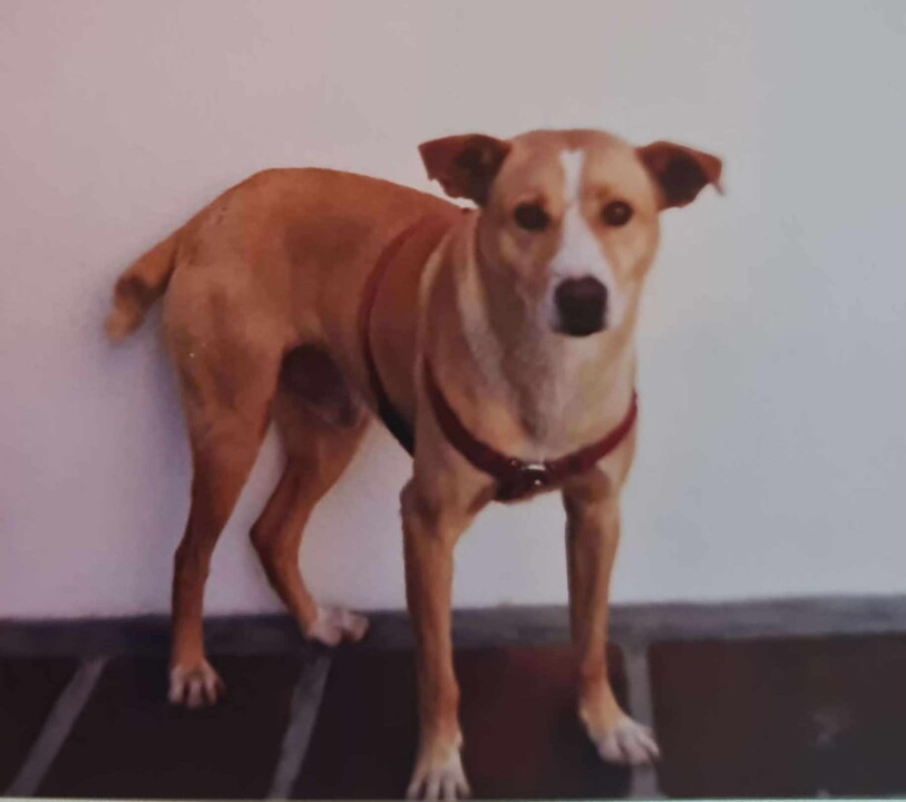 Calvin Fev 2001A.jpg