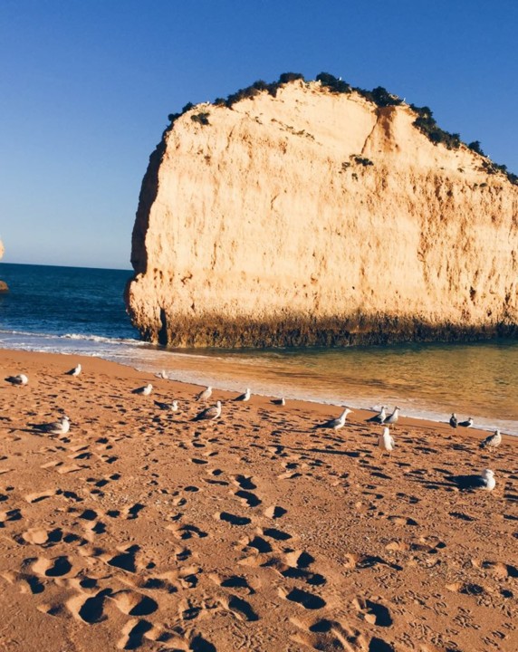 57538157_2064282803627598_6830382487642832896_n.jp