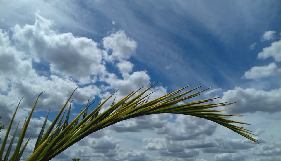 20190519_151814-1.jpg 20190519_151814-1.jpg