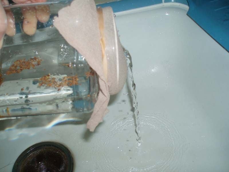 FC55AJRGHFK0TQC.LARGE.jpg FC55AJRGHFK0TQC.LARGE.jpg