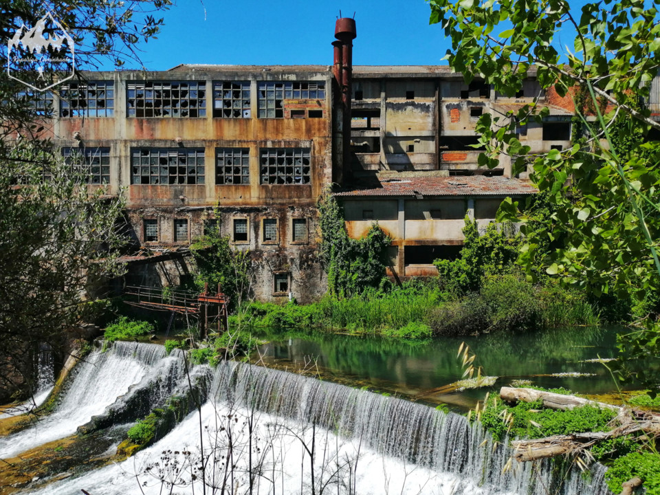 Photo_1596312199422.jpg Photo_1596312199422.jpg