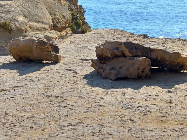 211338573_143866171190385_6834097165115781105_n.jp