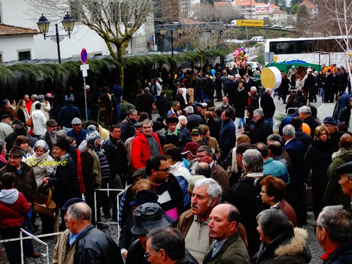 Feira do Queijo Em Seia !!! 234.jpg