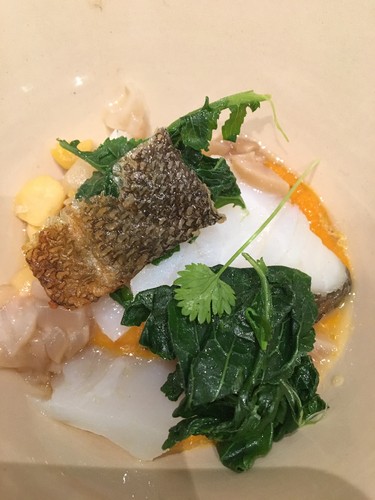 IMG_1664.JPG IMG_1664.JPG