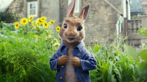 peter rabbit 6.jpg