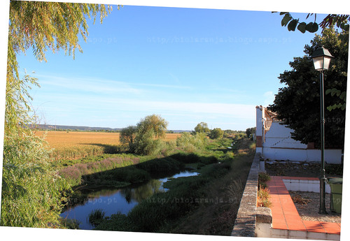 Rio Almonda, Azinhaga do Ribatejo, 2011