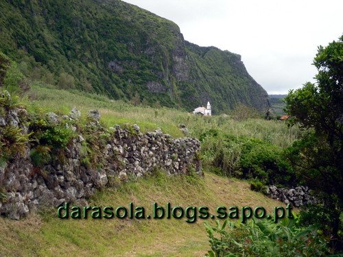 Azores_flores_faja_grande_05.JPG
