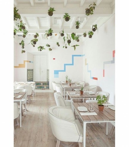 FullSizeRender (13).jpg