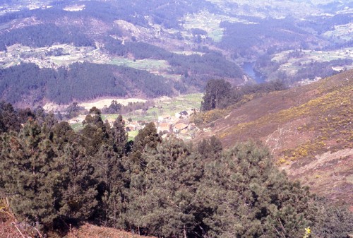 241 - estrada fiães.jpg
