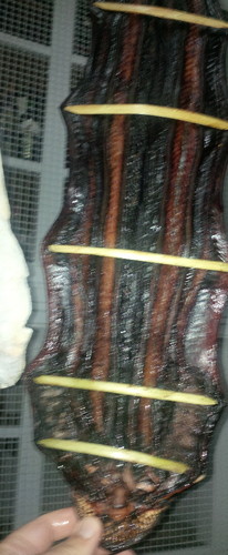 lampreia fumada galiza.jpg