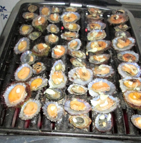 Fotos Graciosa (2).jpg Fotos Graciosa (2).jpg