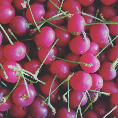 36087330_1121416017998158_287436447152078848_n.jpg 36087330_1121416017998158_287436447152078848_n.jpg