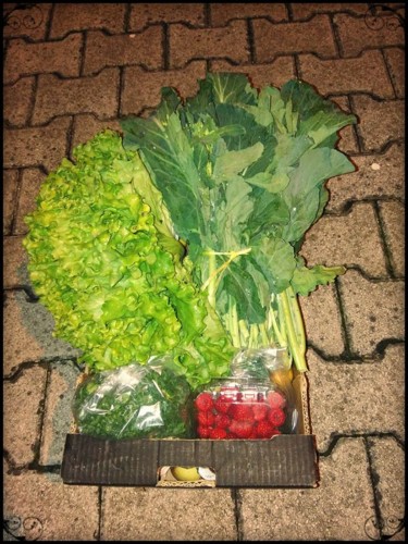 24312613_1004378779701883_2989999296943316577_n.jp