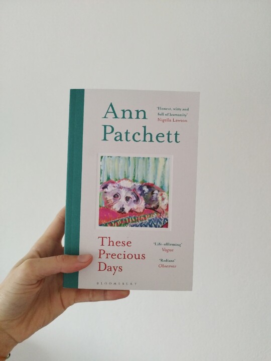 WhatsApp Image 2024-02-11 at 13.18.19.jpeg