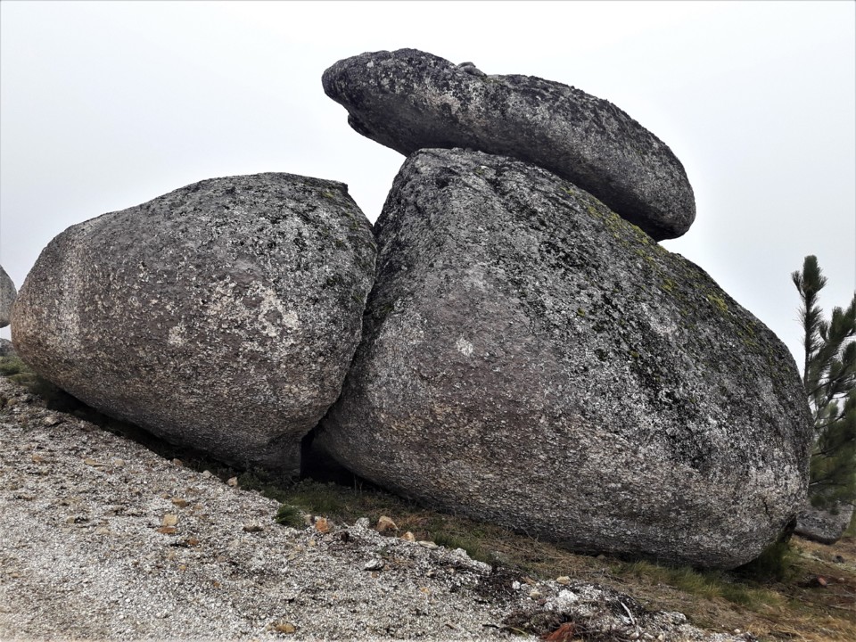 ROCHA PÃO PARTIDO.jpg