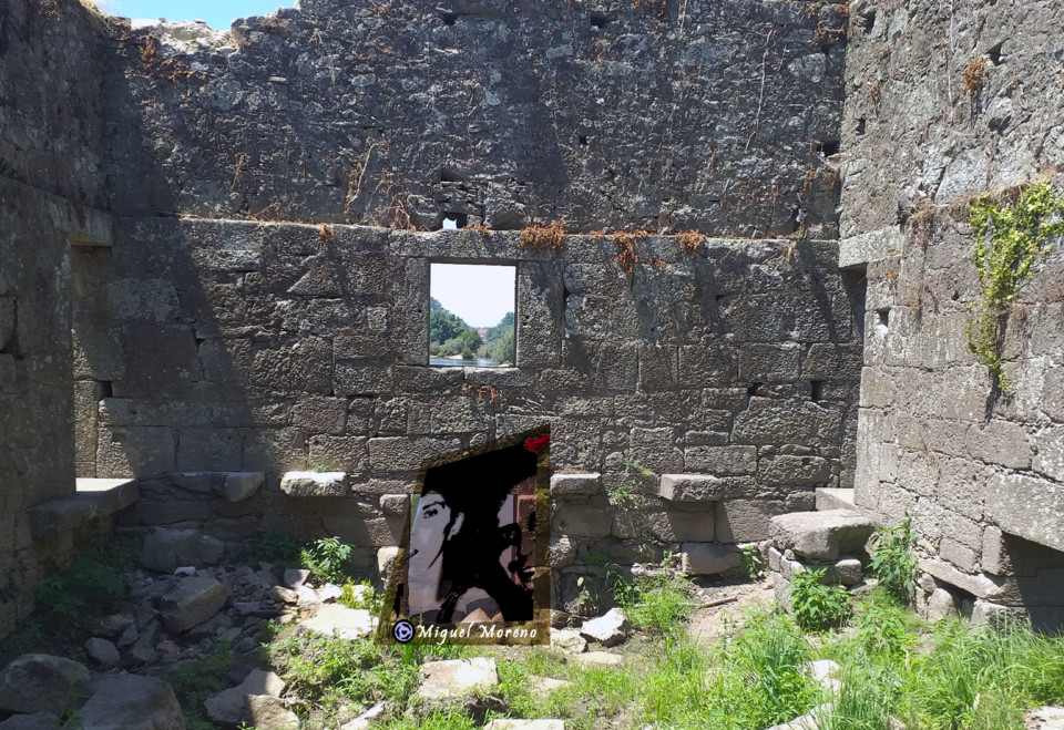 MM De tanto de mim que dei.jpg