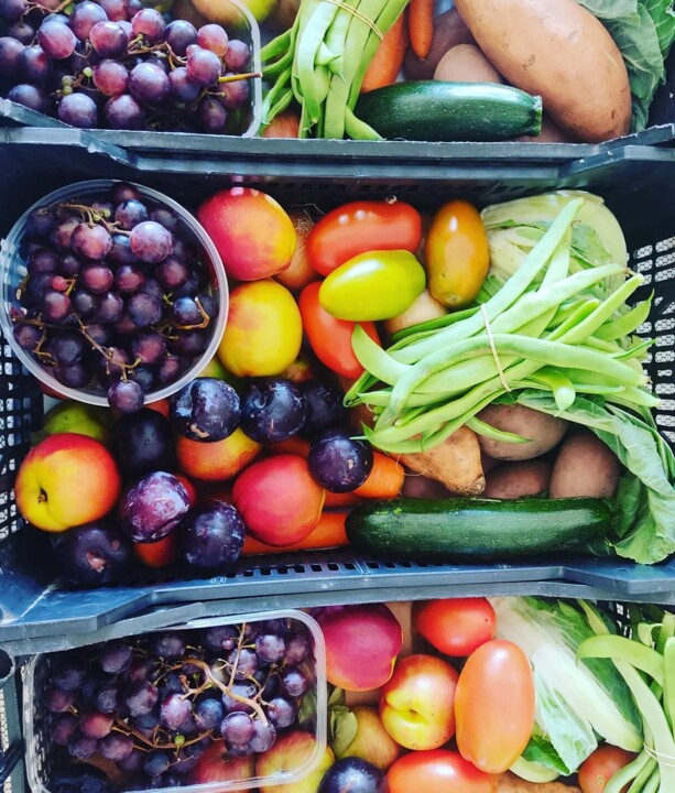 452259698_875888657901879_7062701213351239717_n.jp