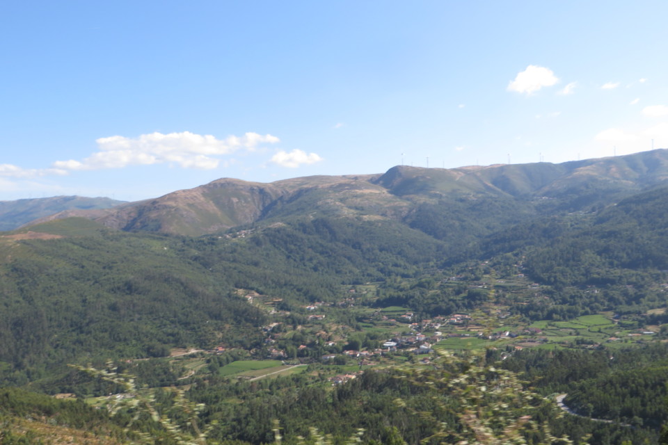 IMG_3574.JPG IMG_3574.JPG