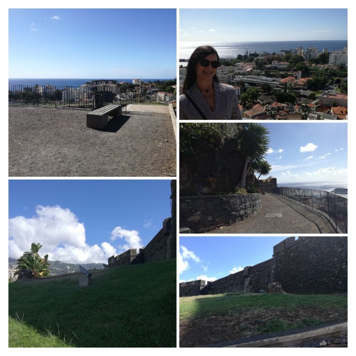 IMG_20191020_121834-COLLAGE.jpg IMG_20191020_121834-COLLAGE.jpg