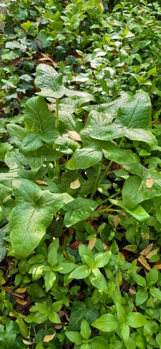 2023-12-11 09.41.15.jpg