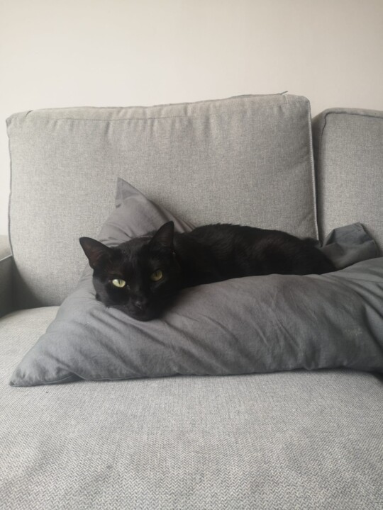 WhatsApp Image 2023-05-03 at 14.22.48.jpeg