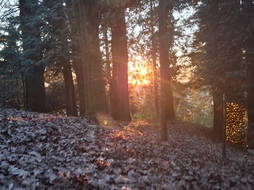 28a_Parque_Natal (24).jpg