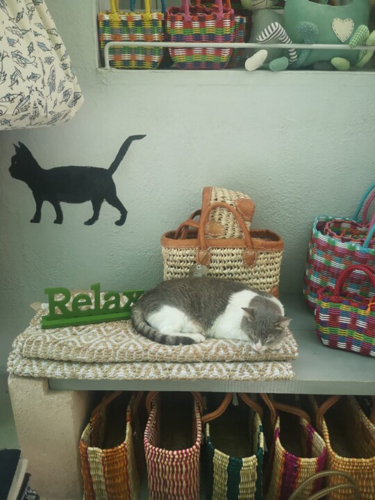 WhatsApp Image 2023-05-31 at 11.09.43 (3).jpeg