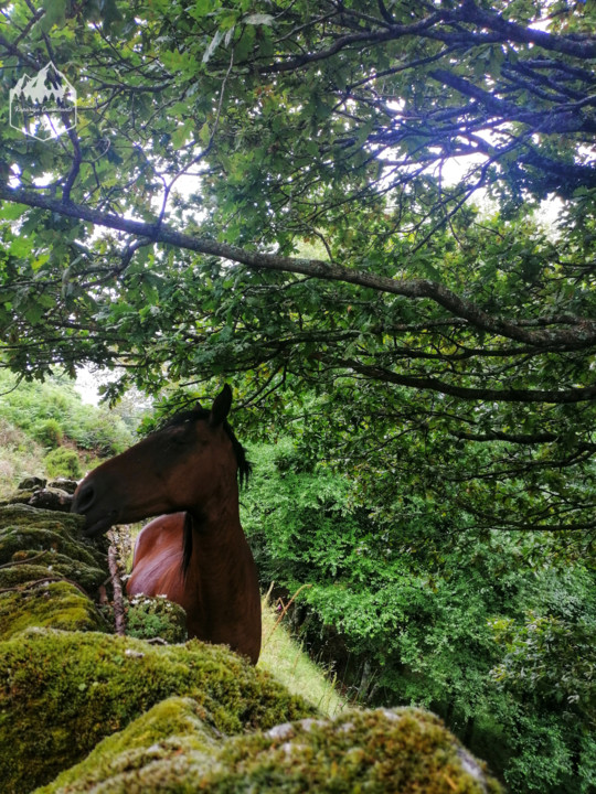 Photo_1597131980001.jpg Photo_1597131980001.jpg