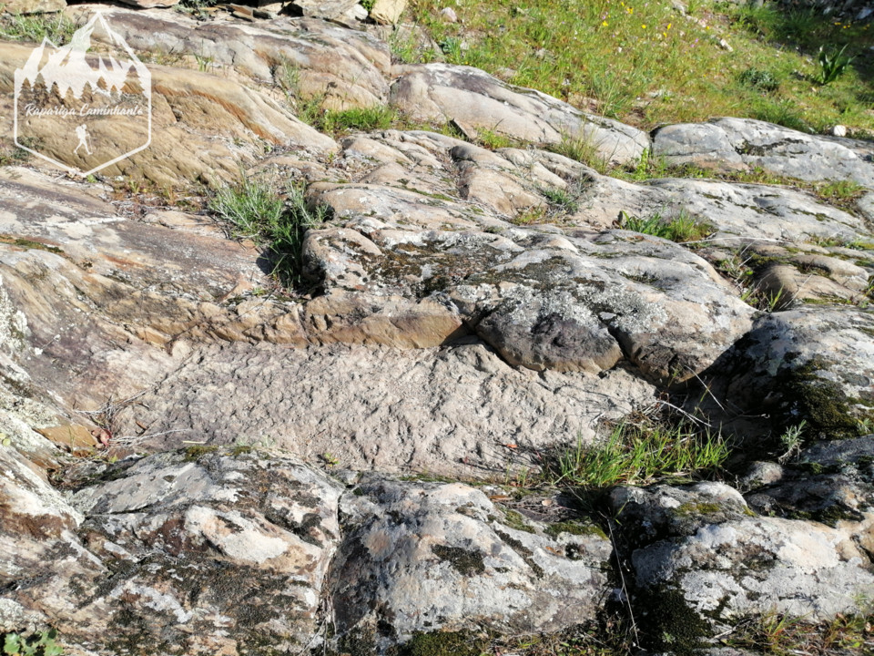 Photo_1584188210193.jpg Photo_1584188210193.jpg