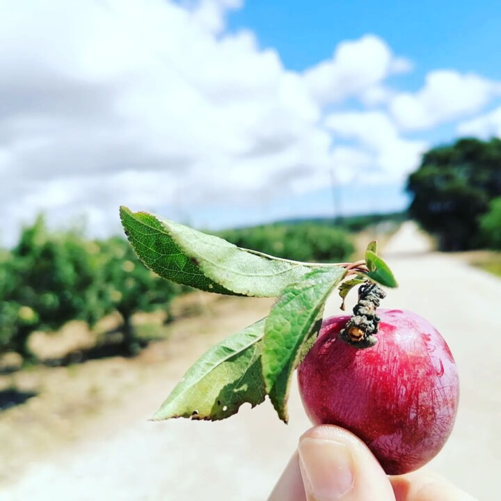 289254540_2342590072547407_271275835117579289_n.jp