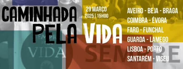 a6f29e_9d9d48b9d24248669afe8cc26b829a00mv2.jpg-696