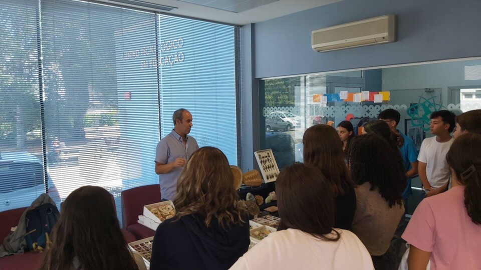 Feira dos minerais3.jpg