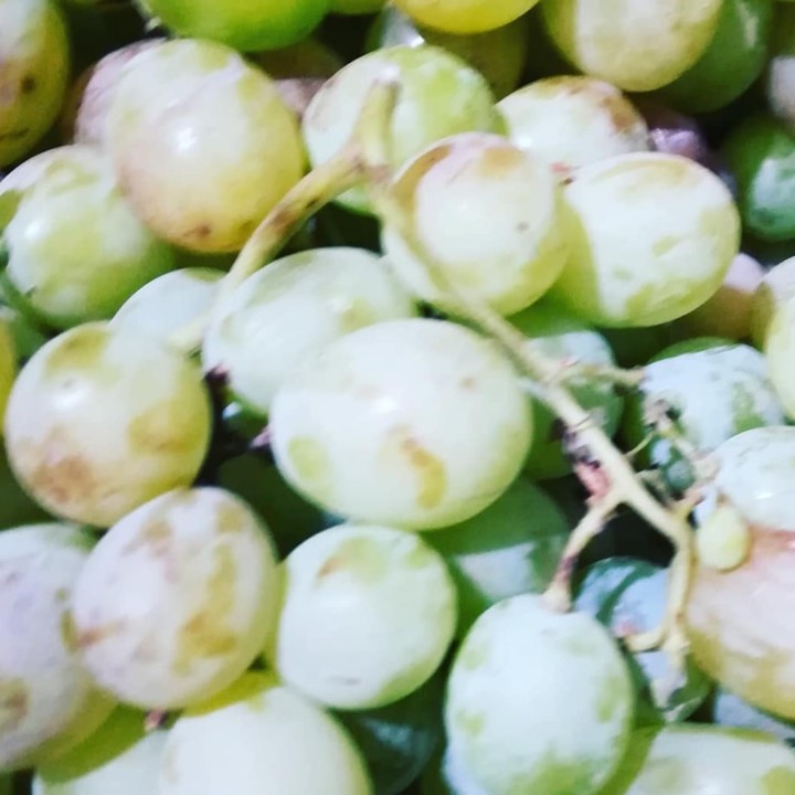 71720834_1482899958516427_8386890760405909504_n.jp 71720834_1482899958516427_8386890760405909504_n.jp