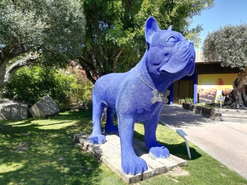 37956549_1164629213676838_3413430352327213056_n.jp 37956549_1164629213676838_3413430352327213056_n.jp