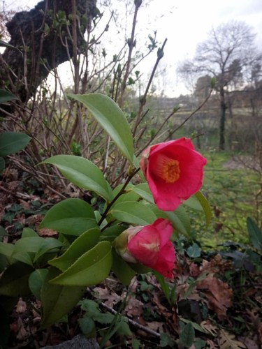 29025916_1615301098555535_2139896691350831104_n.jp