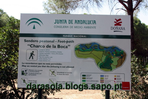 Donana_B_03.JPG Donana_B_03.JPG