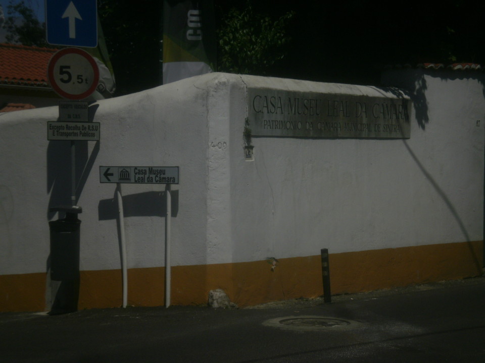 P4217927.JPG P4217927.JPG