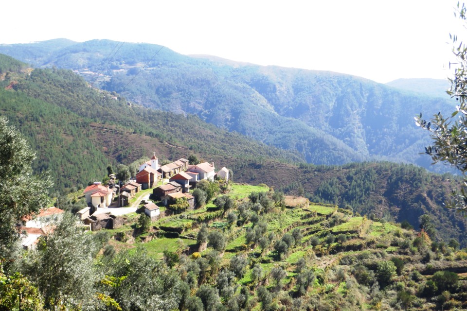 IMG_4670.JPG IMG_4670.JPG