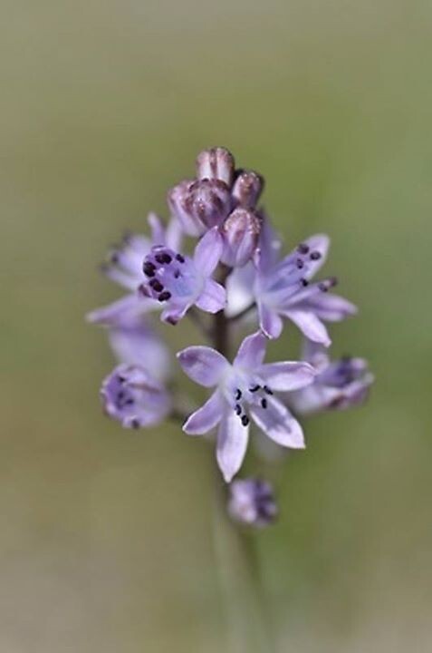 Não faças planos para a vida para não estragare
