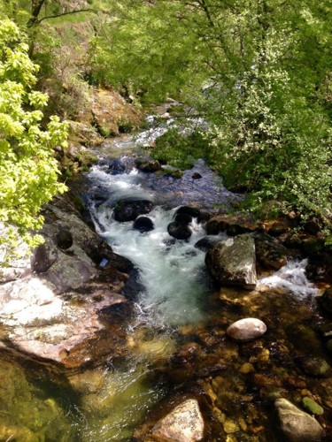 45384775_2171863009512951_4558145724914597888_n (1