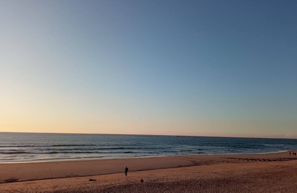 IMG_20210106_203545.jpg IMG_20210106_203545.jpg