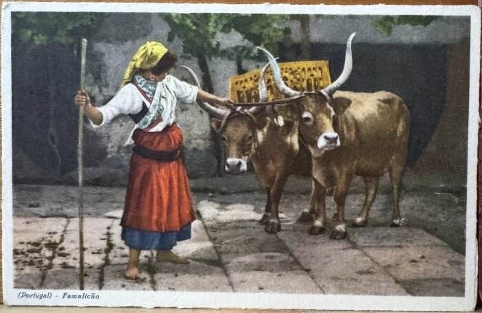 581317158_1408396421291772_4768708671580314942_n.j