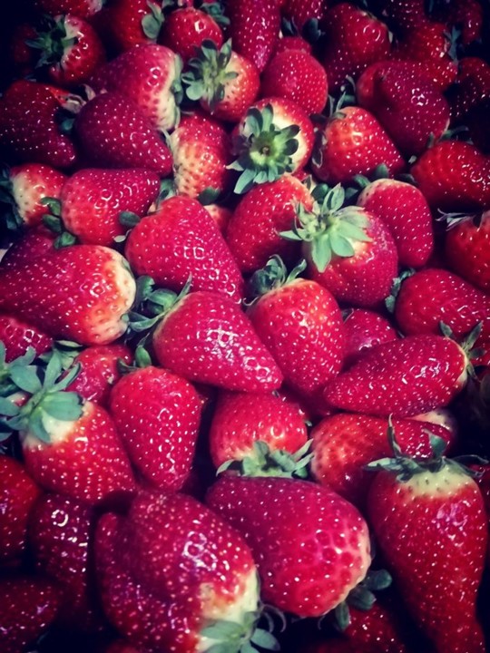 84531809_1612362845570137_5121808355144237056_o.jp